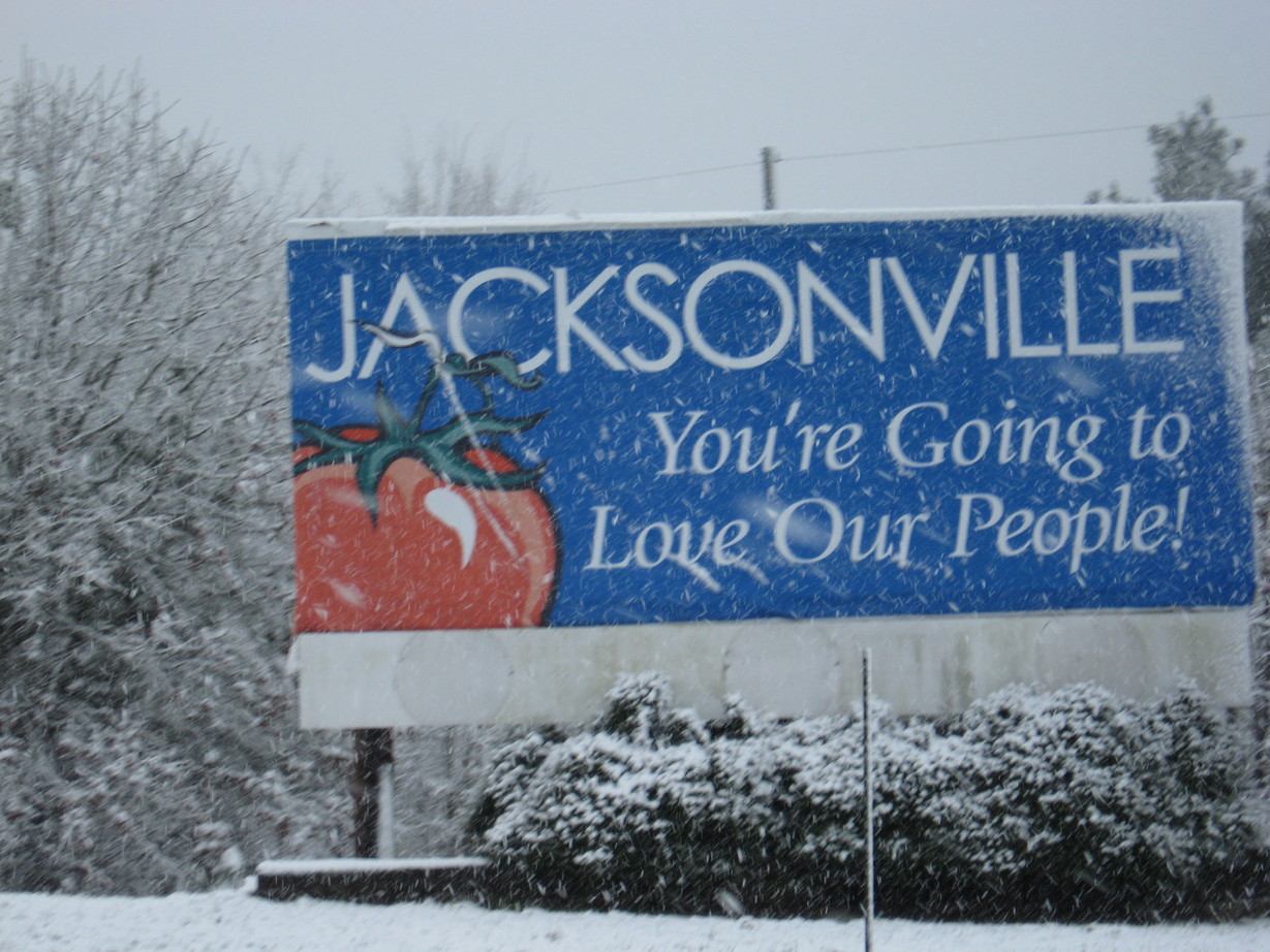 Jacksonville, TX 03/06/2008 Late winter storm photo, picture, image
