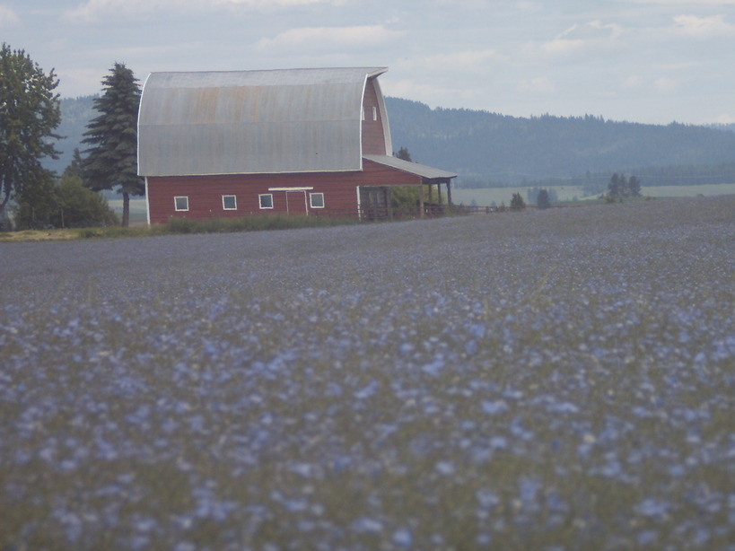 Craigmont, ID n.e. of craigmont photo, picture, image (Idaho) at city