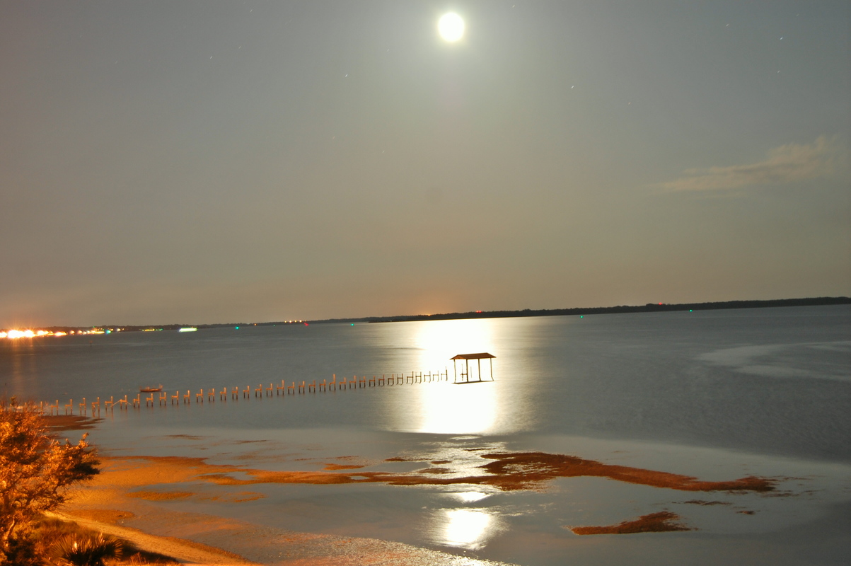 St Andrews Real Estate Panama City Fl at Raymond Holloway blog