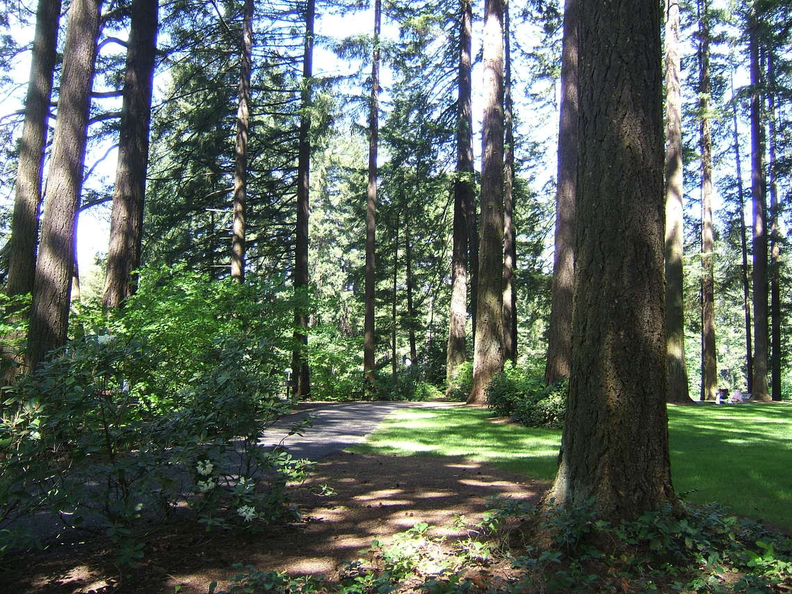Camas, WA Lacamas Park photo, picture, image (Washington) at city