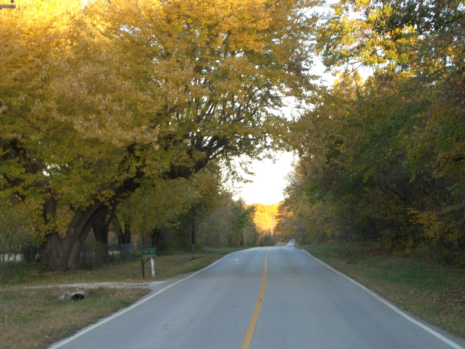 Diamond, MO fall time photo, picture, image (Missouri) at