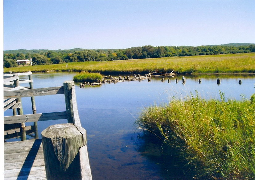 East Jordan, MI wildlife sanctuary photo, picture, image (Michigan