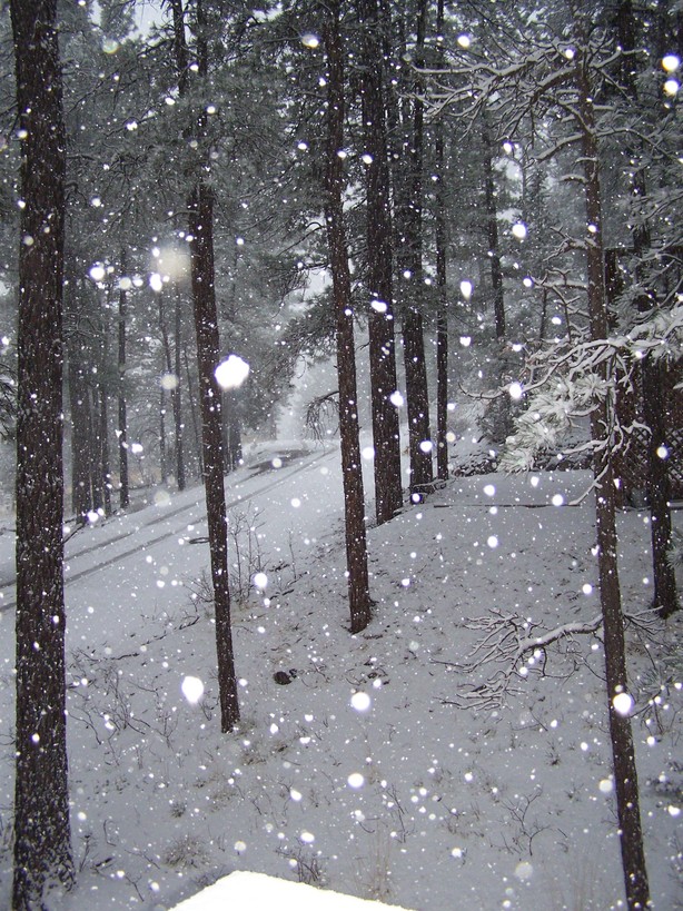 Ruidoso, NM Snow in Ruidoso March 30, 2007 photo, picture, image (New