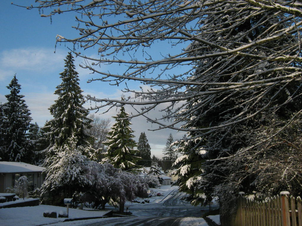 Lea Hill, WA March 27, 2008 street scene Lea Hill Auburn,WA photo
