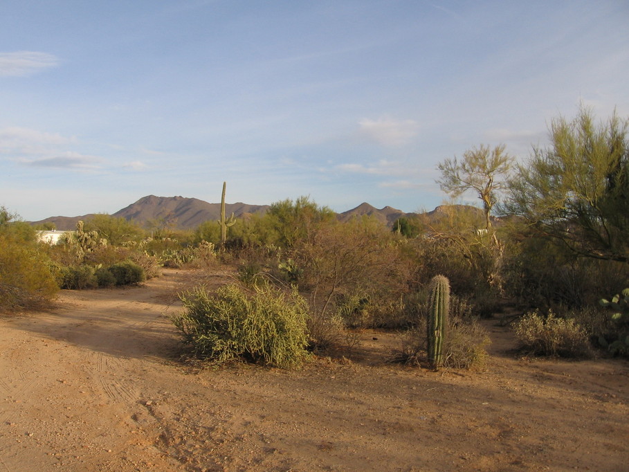 Picture Rocks, AZ local scenery photo, picture, image (Arizona) at