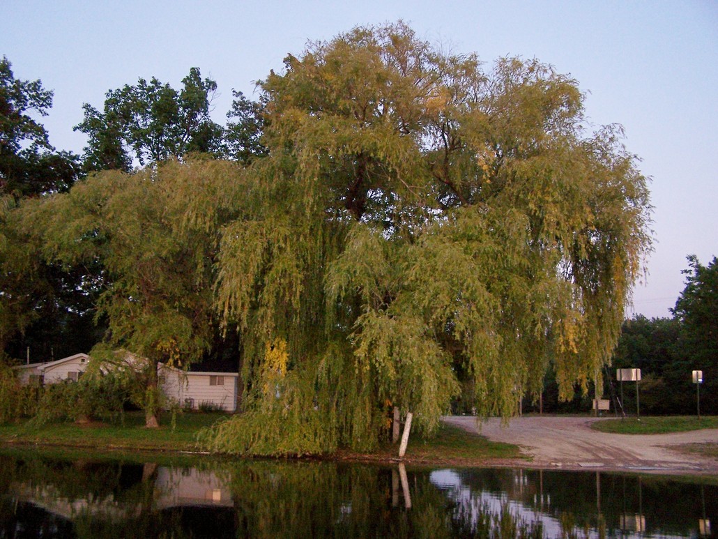 Skidway Lake, MI Boat launch at Skidway Lake Sept, 2008 photo