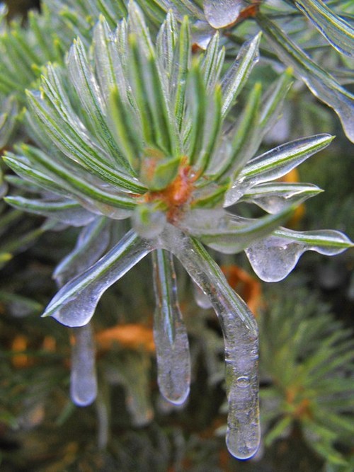 Meeker, CO First freeze in Meeker, Co 08 photo, picture, image (Colorado) at