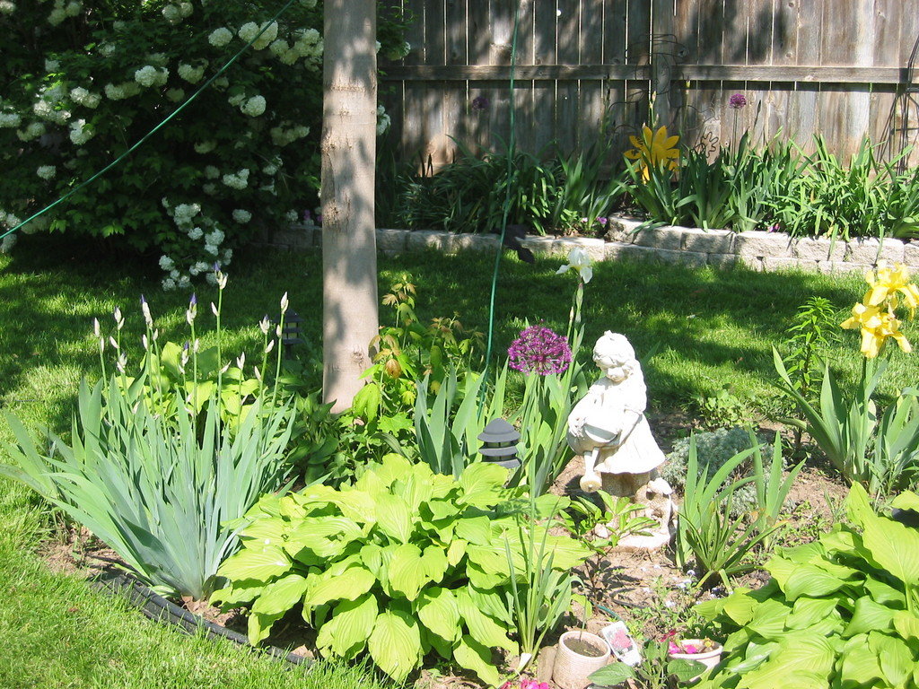 Papillion, NE Garden in Papillion, Nebraska photo, picture, image