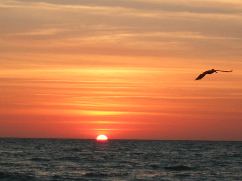 Longboat Key, FL Longboat Key Sunset photo, picture, image (Florida