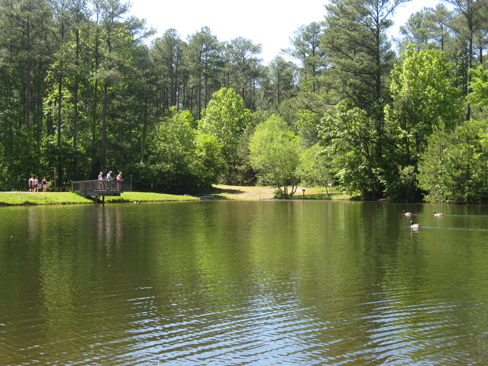 Fairview, TN One of many ponds at Bowie Nature Park photo, picture