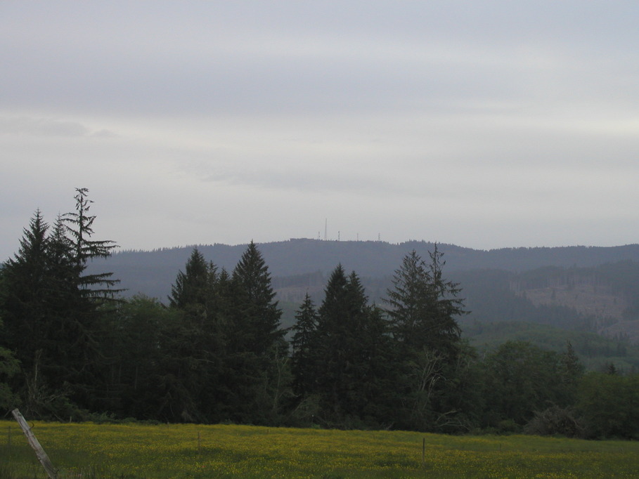 Naselle, WA Radar Hill as seen from a Naselle, Washington Farm photo
