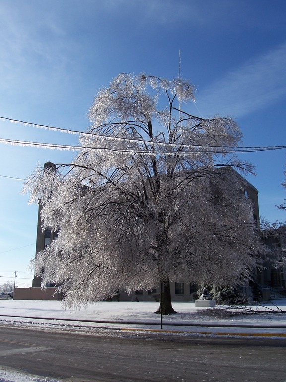 Dixon, KY Winter in Dixon photo, picture, image (Kentucky) at
