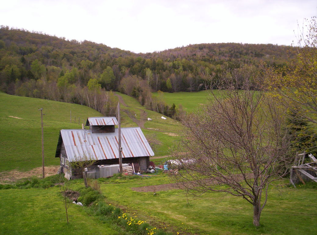 Roxbury, VT Don Jerry's Sugarhouse photo, picture, image (Vermont) at