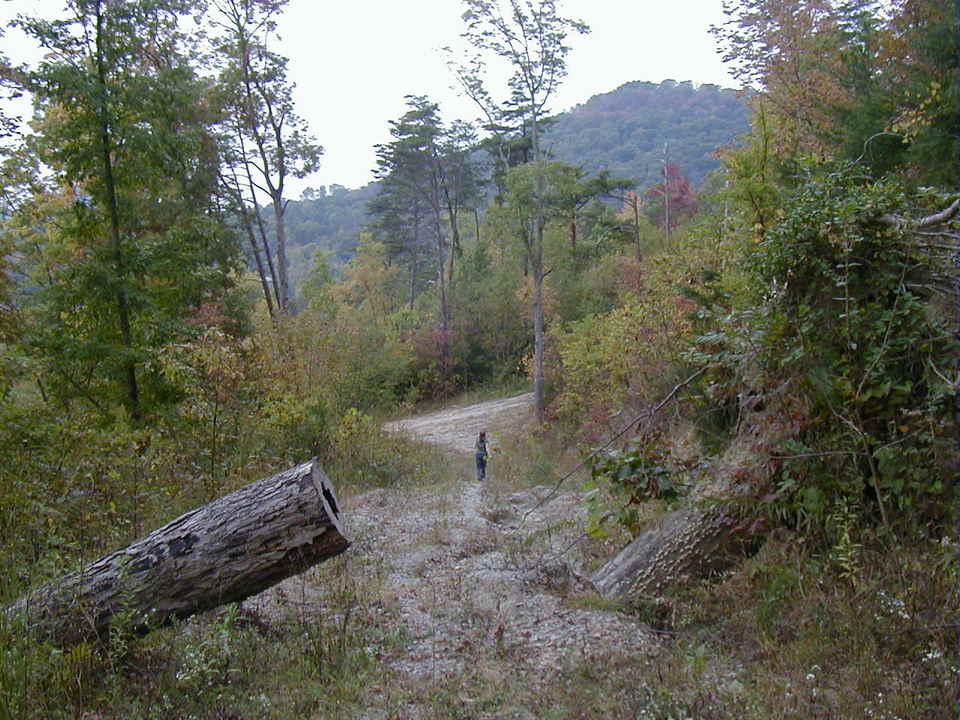 Irvine, KY Below Star Mountain photo, picture, image (Kentucky) at