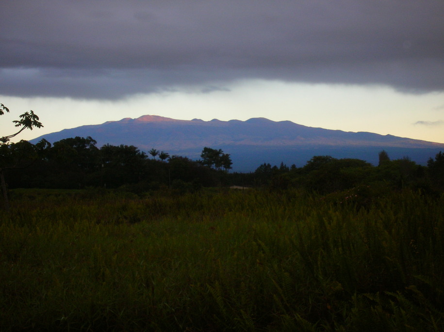 Keaau, HI mauna loa from ainaloa going south photo, picture, image (Hawaii) at