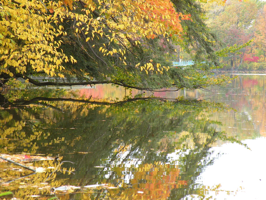 Orchard Park, NY Green Lake, 511 PM, 10/15/2008 photo, picture