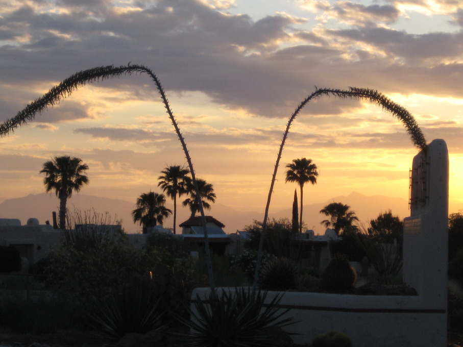 Green Valley, AZ Portillo Hills at Sunrise photo, picture, image