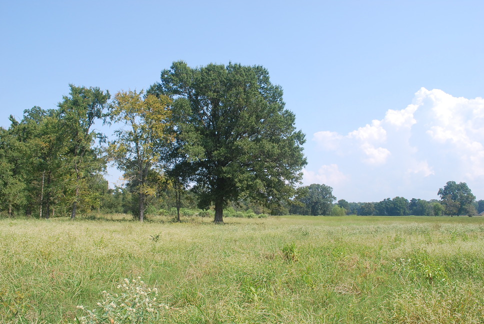 Ashdown, AR East Ashdown photo, picture, image (Arkansas) at city