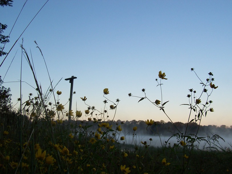 Bonifay, FL Steaming Dogwood Lakes Bonifay, Fl. photo, picture