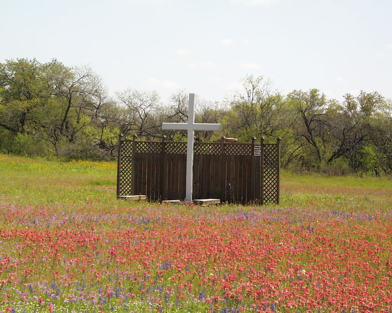 Pleasanton, TX Indian Paintbrush in the Springtime photo