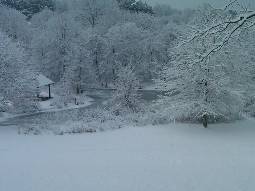 Montgomery Village, MD Blizzard 2010! View from Heron's Cove photo