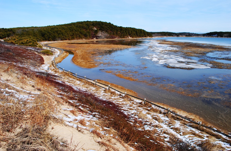 Wellfleet, MA Winter Colors on Great Island photo, picture, image