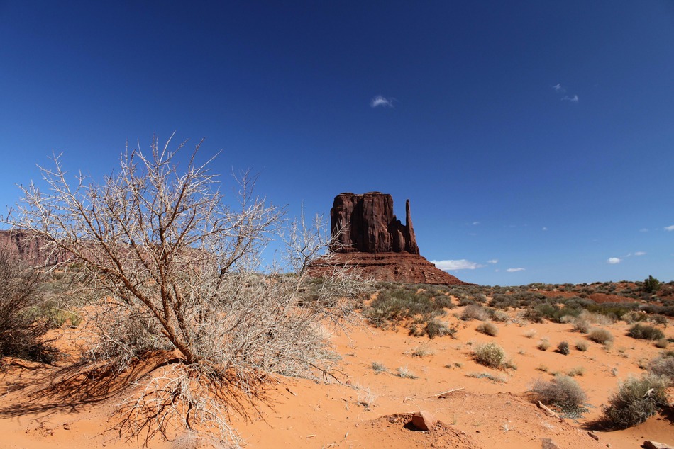 Kayenta, AZ KAYENTA, GATEWAY TO MONUMENT VALLEY, UTAH photo, picture