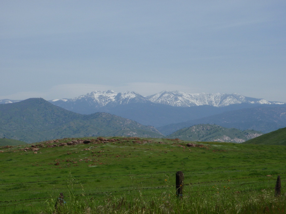 Springville, CA Snowcapped Sierra View with Wildflowers, Springville