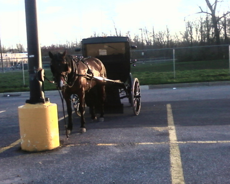 Clayton, DE Clayton DE photo, picture, image (Delaware) at