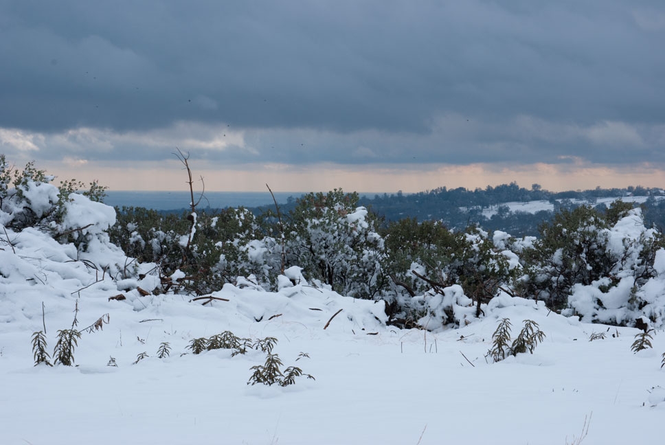 Cameron Park, CA Snow day sky2 Landscape photo, picture, image
