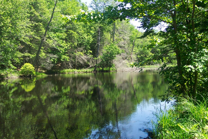 East Hampton, CT Late Spring at Hurd State Park, East Hampton,CT