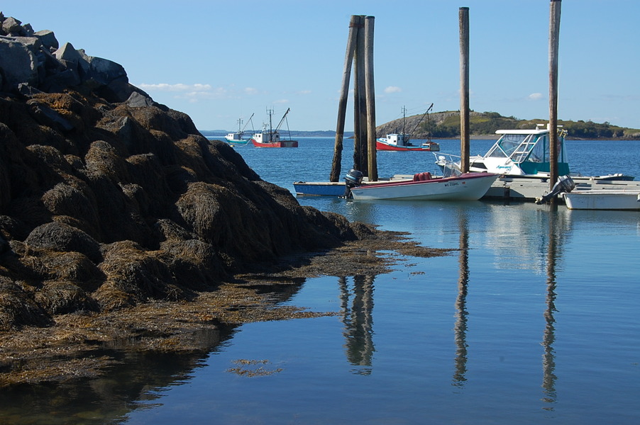Lubec, ME HARBOR, LUBEC, MAINE photo, picture, image (Maine) at city