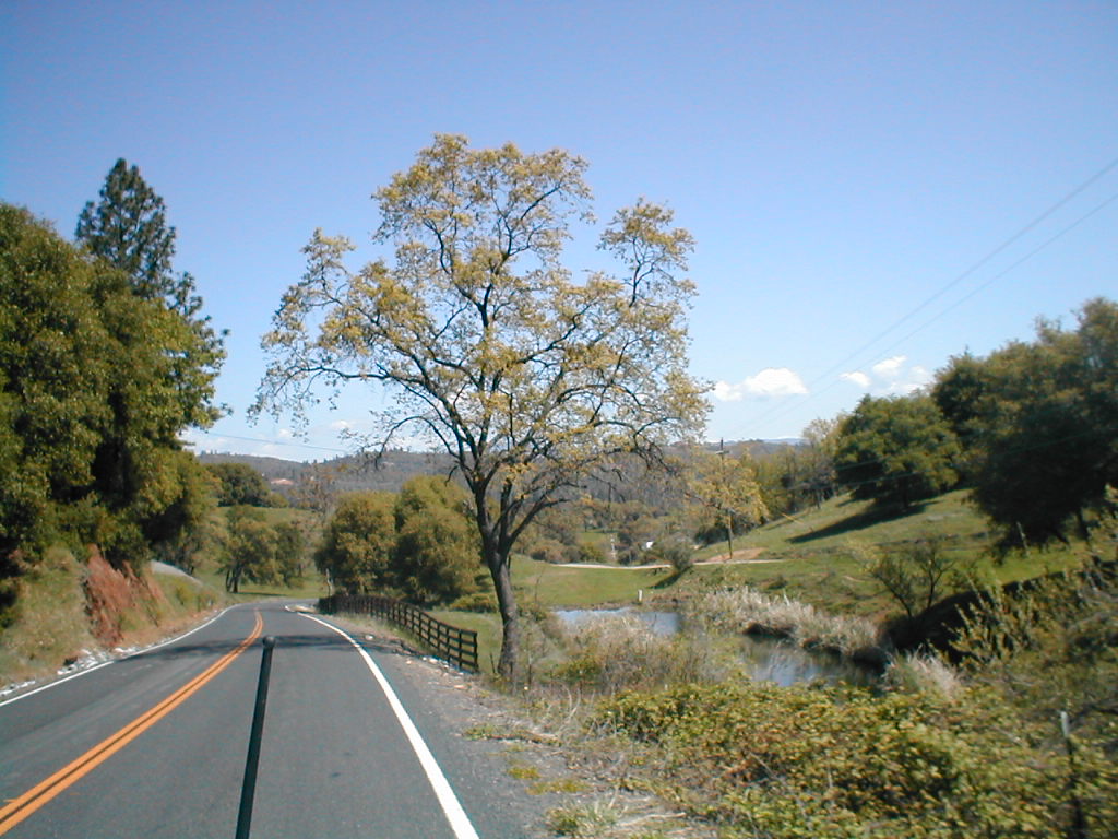 Mountain Ranch, CA Mountain Ranch photo, picture, image (California