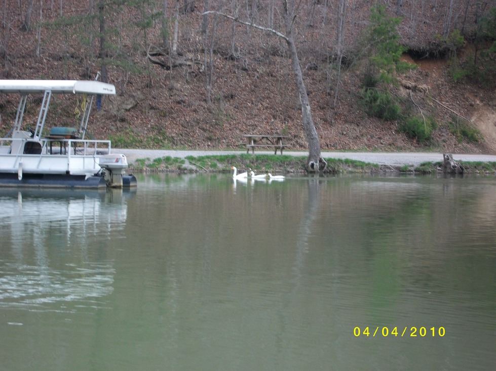 Harlan, KY fishing lake photo, picture, image (Kentucky) at