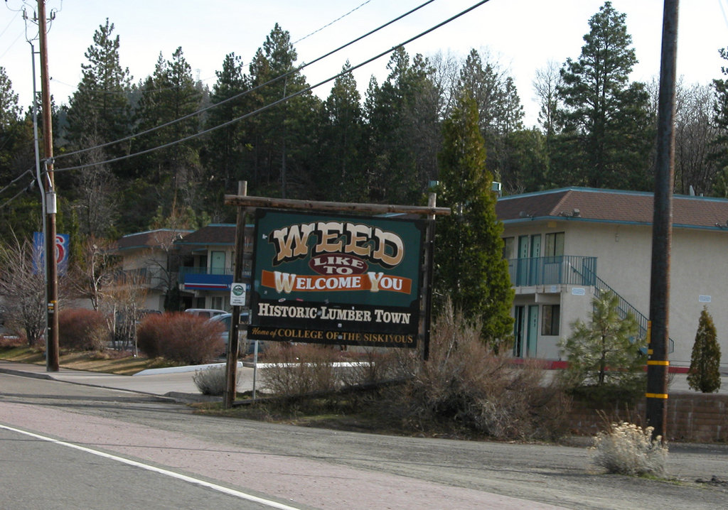Weed, CA weed sign photo, picture, image (California) at city