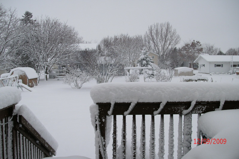 Juneau, WI Winter 2009 in our back yard photo, picture, image