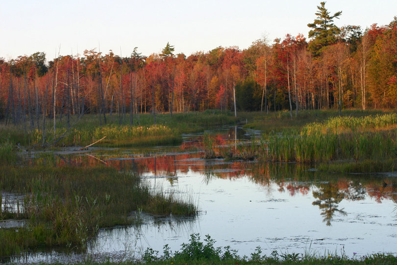 Canastota, NY Stream on Oxbow RdCanastota/Peterboror photo, picture