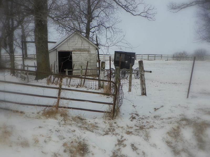 Kalona, IA At the Amish School House photo, picture, image (Iowa) at