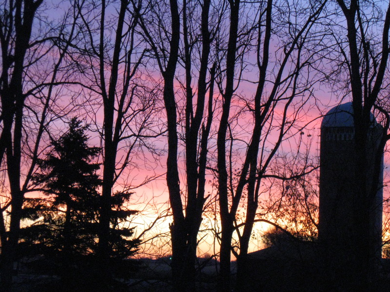 Green Isle, MN Wakeup Call of Beautiful Color, Green Isle, MN photo