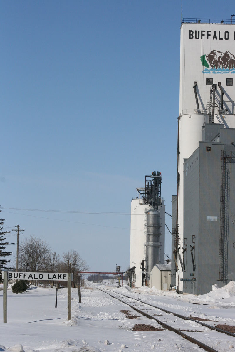 Buffalo Lake, MN Westbound TwinCities & Western Railway and Grain Co