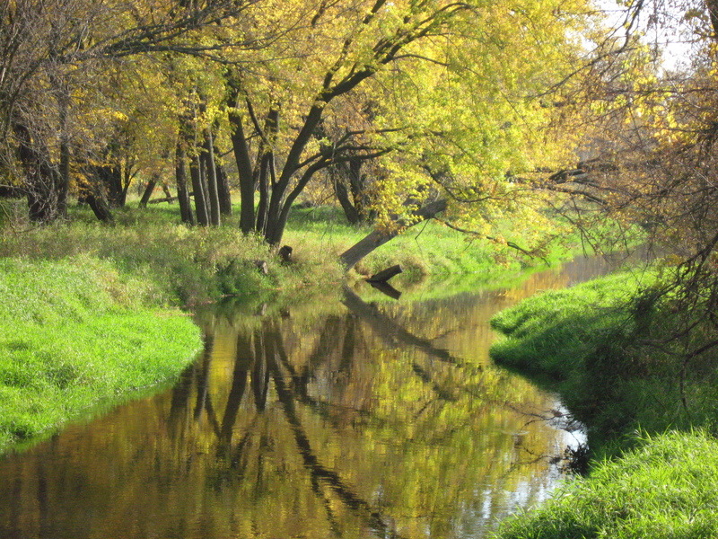 Arden Hills, MN Fall Colors Rice Creek Regional Trail photo, picture, image (Minnesota) at