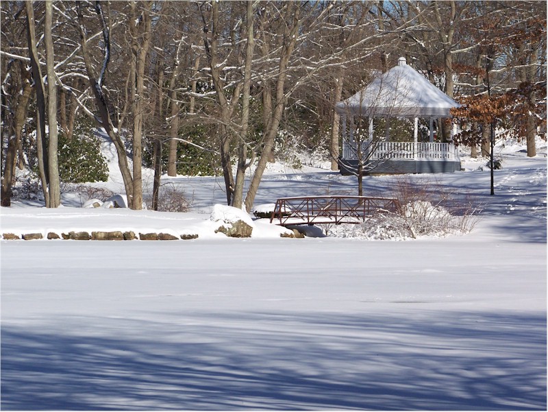 Waterford, CT Duck Pond photo, picture, image (Connecticut) at city