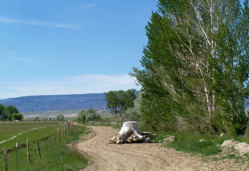Frannie, WY Country Road near Frannie photo, picture, image (Wyoming