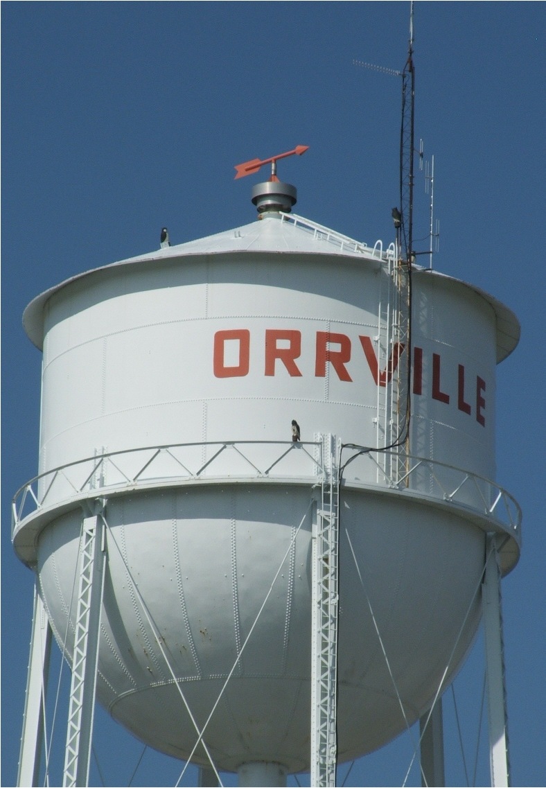 Orrville, OH The water Tower photo, picture, image (Ohio) at city
