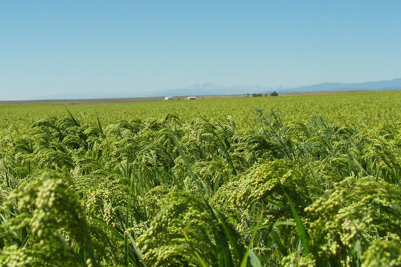 Nunn, CO looking to the west from Nunn photo, picture, image