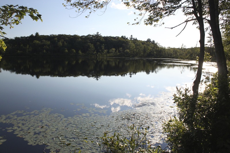 Boxford, MA Boxford, MA photo, picture, image (Massachusetts) at city