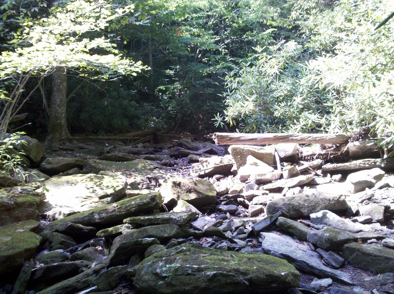 Crawford, TN Little Indian River, Crawford, TN photo, picture, image