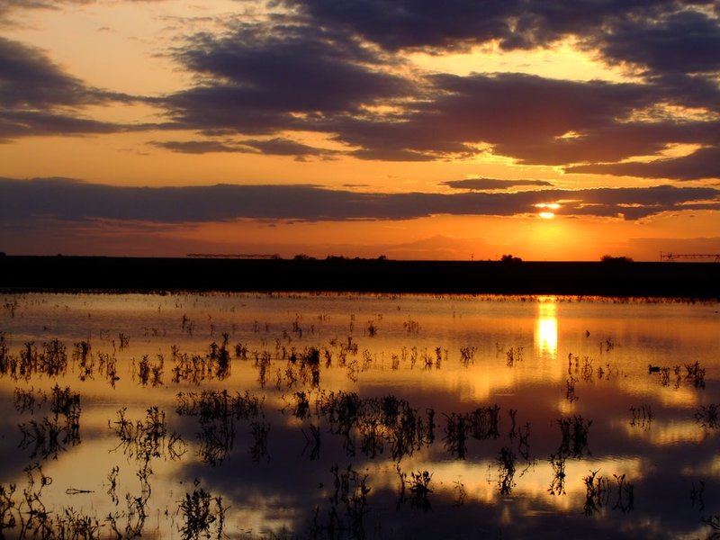Harvard, NE Sunset outer edges of Harvard photo, picture, image