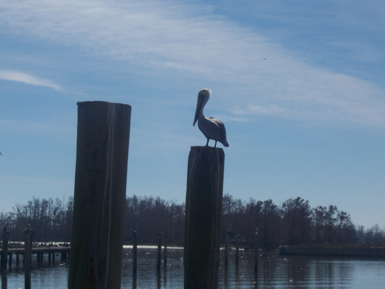 BoothvilleVenice, LA Taken from the dock of Cypress Cove Marina