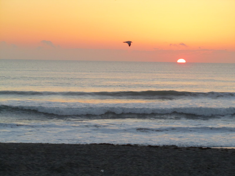 Indialantic, FL Sunset in Indialantic photo, picture, image (Florida) at